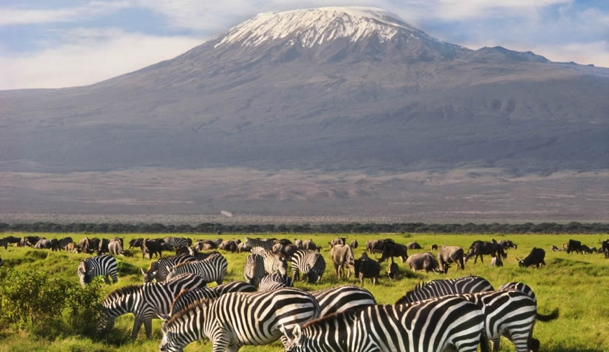 3 Days, 2 Nights Amboseli Budget Camping Safari