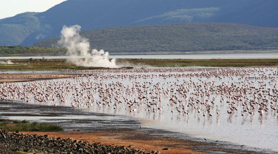 6 Days Masai Mara & the Rift Valley Lakes Budget Safari