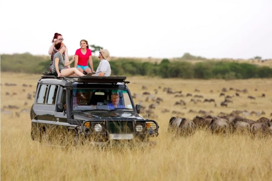 4 Days Explore Masai Mara National Reserve Group Safari