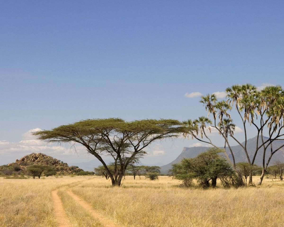 Samburu