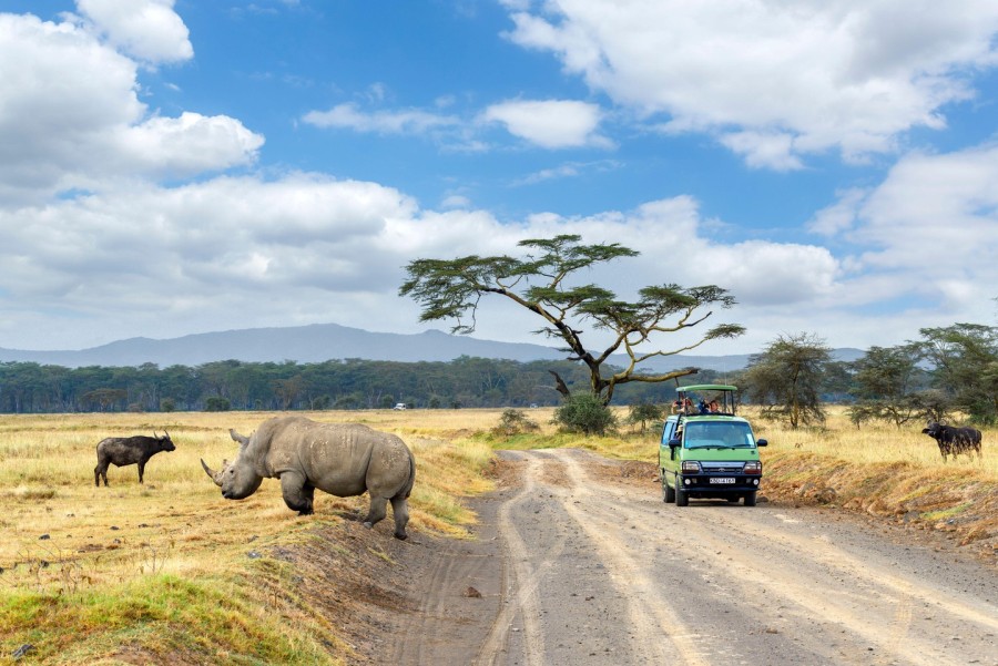 4 Days Masai Mara & Lake Nakuru Budget Camping Safari