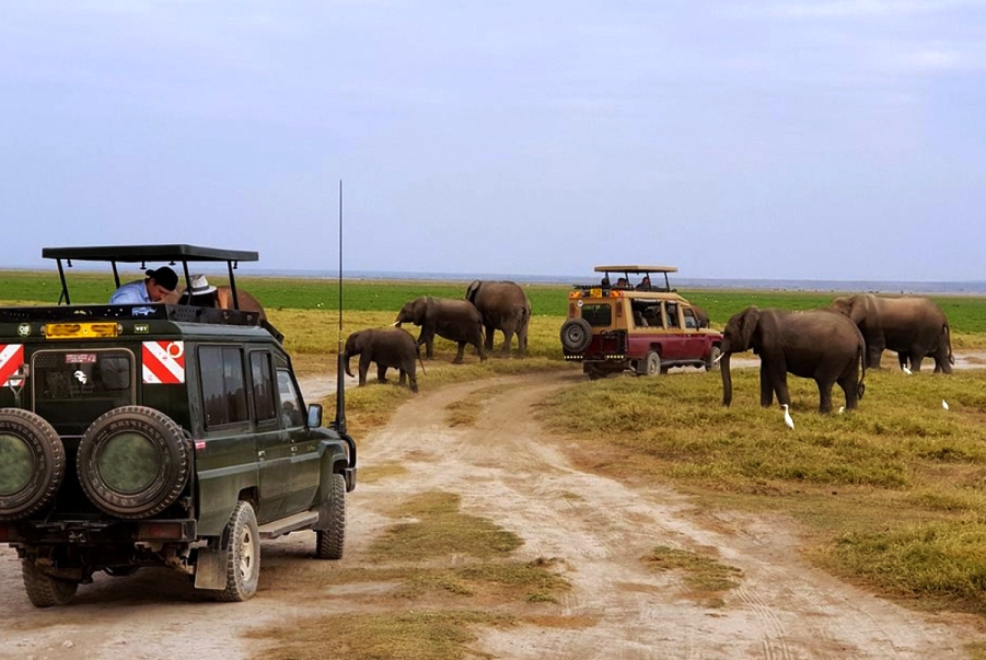 8 Days Amboseli, Lake Naivasha, Nakuru & Masai Mara Lodge Safari
