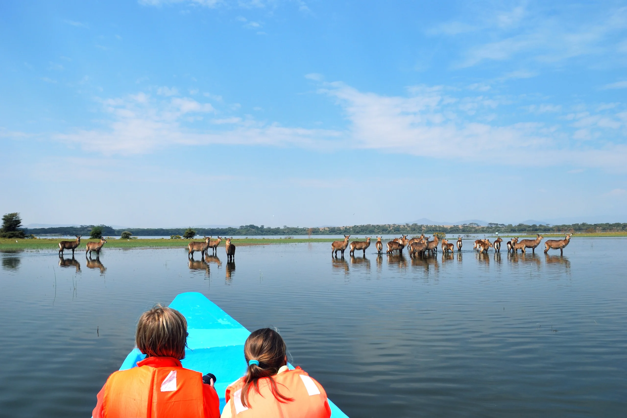 5 Days Masai Mara, Lake Nakuru & Naivasha Camping Safari