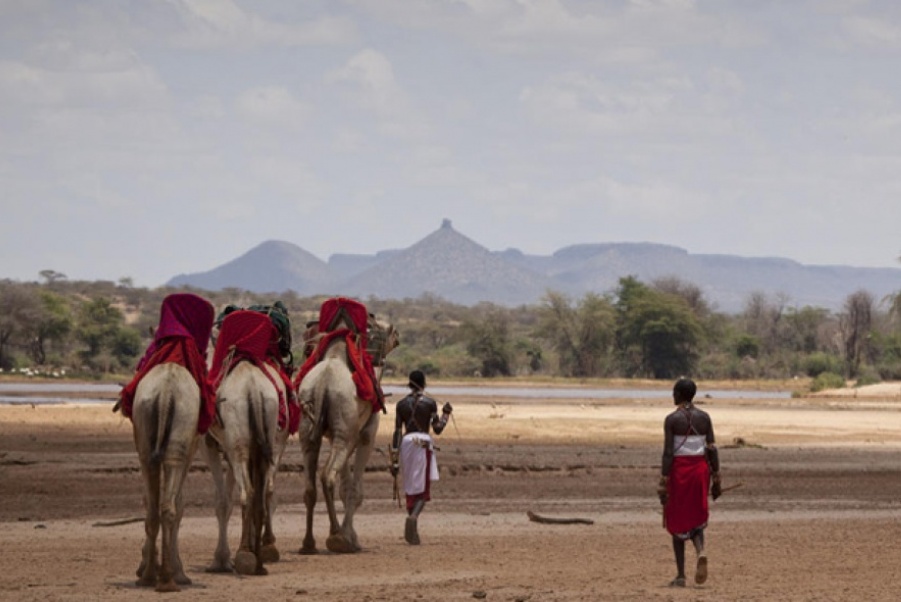 6 Days Masai Mara, Lake Nakuru & Samburu Budget Camping Safari